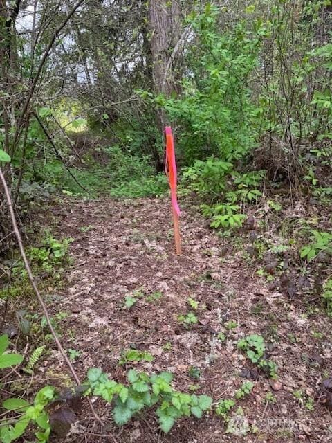 0 Clinton Rd, Chehalis, WA 98532