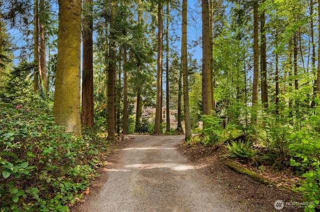 view of road featuring a wooded view and dirt driveway