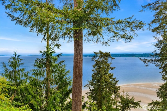 property view of water