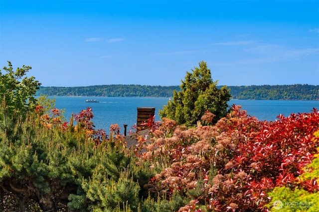 water view featuring a wooded view