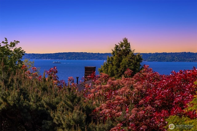 water view