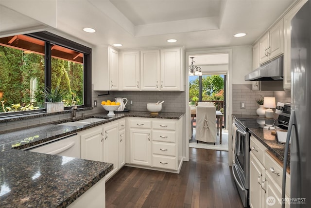 kitchen with a sink, white cabinetry, under cabinet range hood, and stainless steel appliances