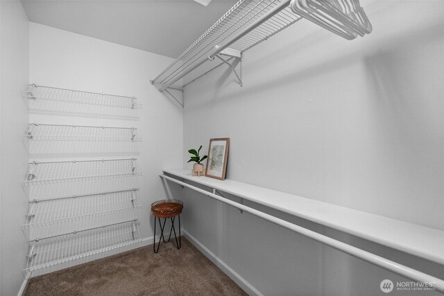 spacious closet with dark colored carpet
