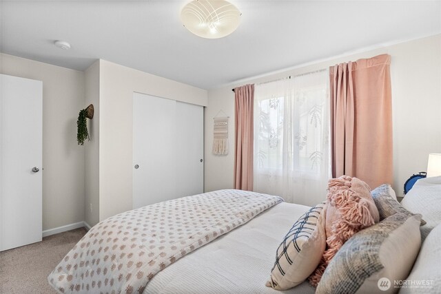 bedroom with a closet, carpet flooring, and baseboards
