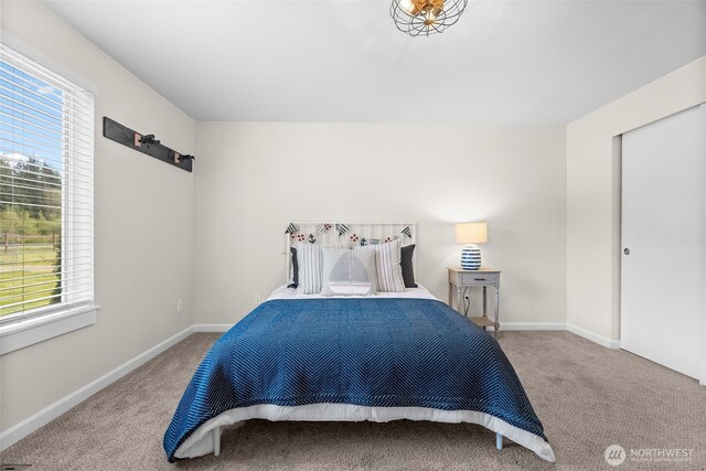 bedroom with baseboards, multiple windows, and carpet