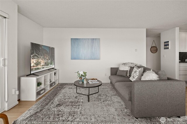 living room featuring light wood finished floors and a textured ceiling