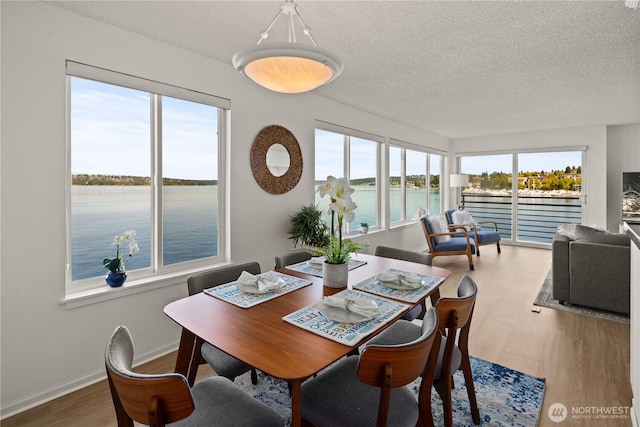 dining room featuring wood finished floors, a textured ceiling, and baseboards