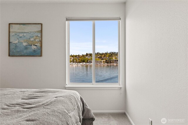 carpeted bedroom with baseboards and a water view