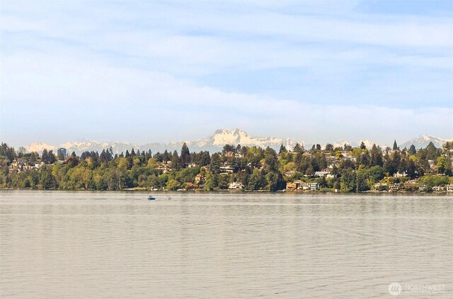 water view with a mountainous background
