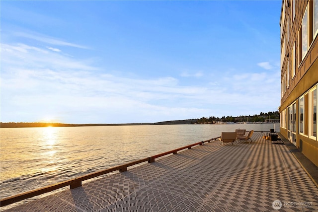 dock area with a water view