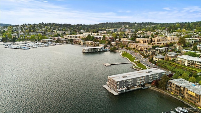 aerial view of a large body of water