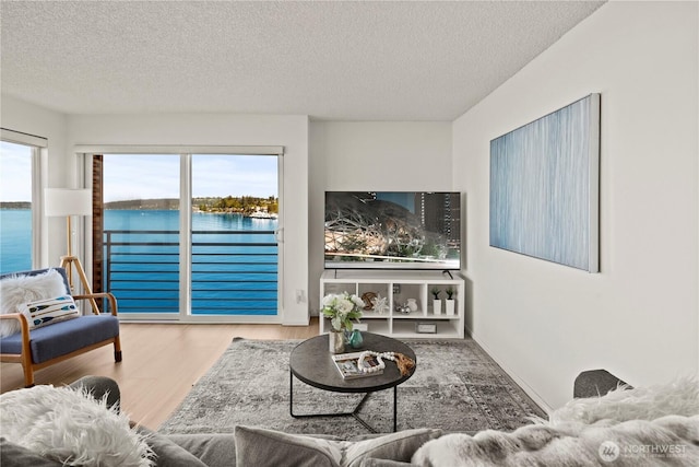 733 S Lake St Unit 312, Kirkland, WA 98033 - living area featuring wood finished floors, a textured ceiling, and a water view