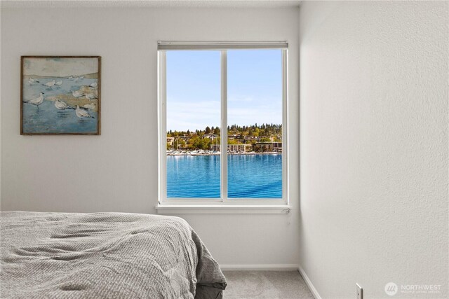 733 S Lake St Unit 312, Kirkland, WA 98033 - carpeted bedroom featuring baseboards