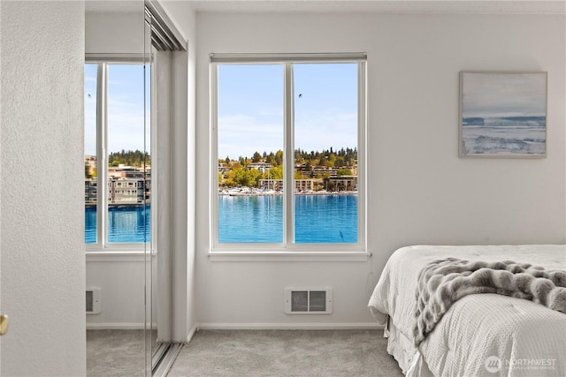 733 S Lake St Unit 312, Kirkland, WA 98033 - bedroom featuring carpet flooring, multiple windows, and baseboards