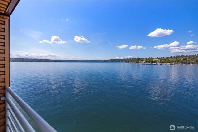 733 S Lake St Unit 312, Kirkland, WA 98033 - water view