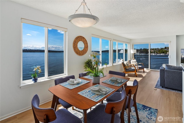 733 S Lake St Unit 312, Kirkland, WA 98033 - dining space featuring a textured ceiling, wood finished floors, a water view, and baseboards