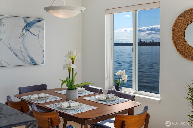 733 S Lake St Unit 312, Kirkland, WA 98033 - dining room with a water view