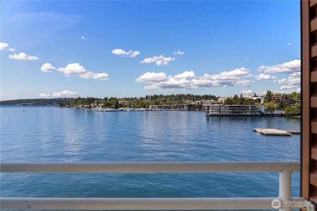 733 S Lake St Unit 312, Kirkland, WA 98033 - water view