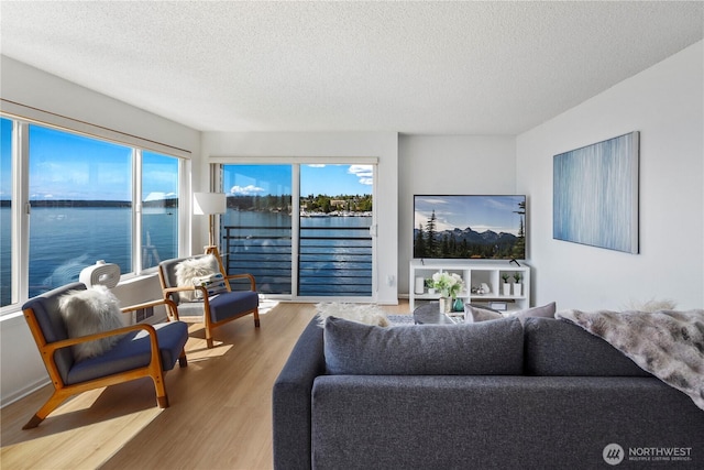 733 S Lake St Unit 312, Kirkland, WA 98033 - living room with a textured ceiling and wood finished floors