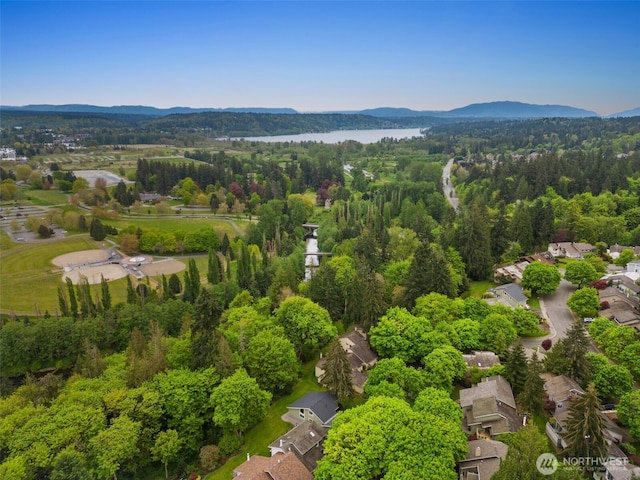 6540 159th Ave NE, Redmond, WA 98052 - aerial view featuring a wooded view and a water and mountain view