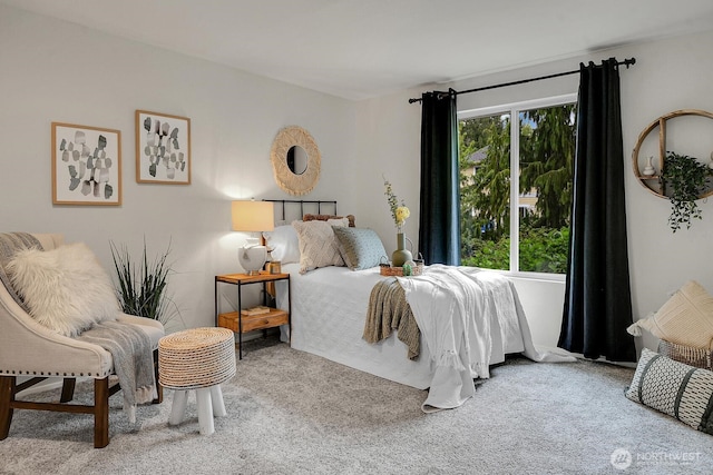 view of carpeted bedroom