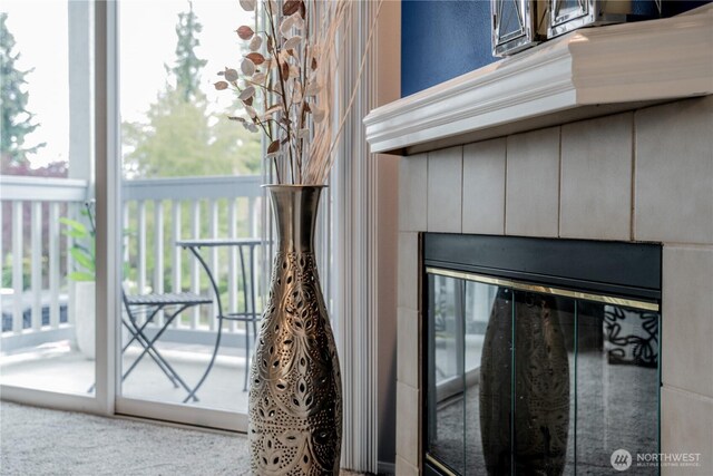 room details with carpet floors and a fireplace