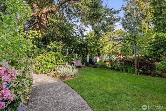 15825 10th Ave SW, Burien, WA 98166 - view of yard