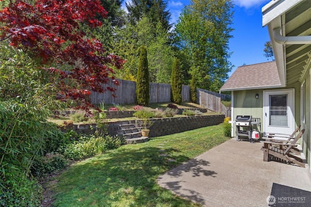 view of yard with a fenced backyard and a patio area