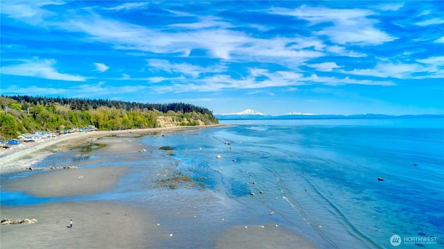 698 Kendor Dr, Point Roberts, WA 98281