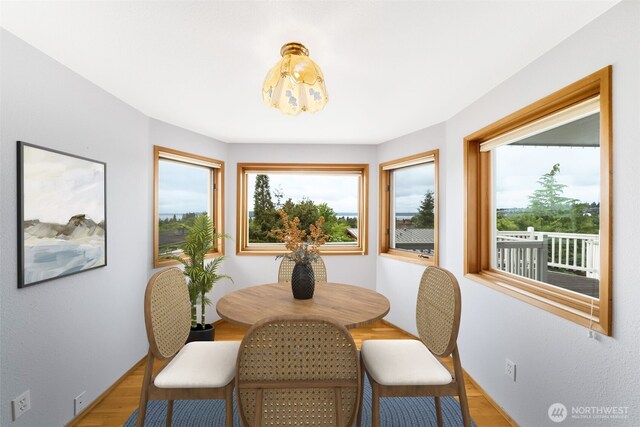 dining room featuring plenty of natural light and wood finished floors