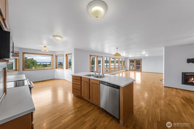 kitchen with appliances with stainless steel finishes, a sink, light wood finished floors, open floor plan, and a lit fireplace