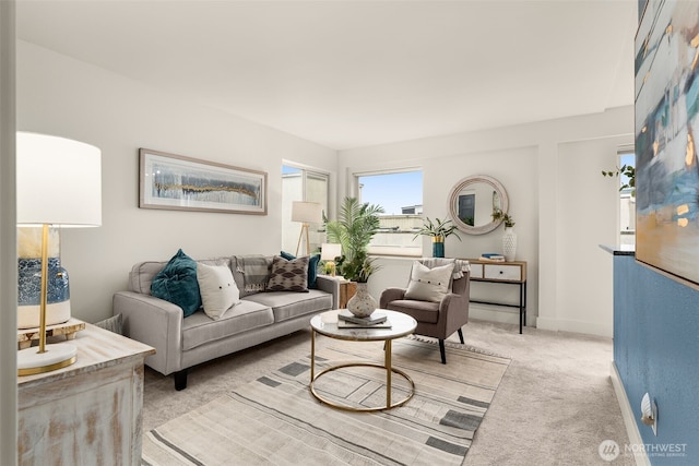 1156 Alki Ave SW Unit 401, Seattle, WA 98116 - living room featuring light carpet and baseboards