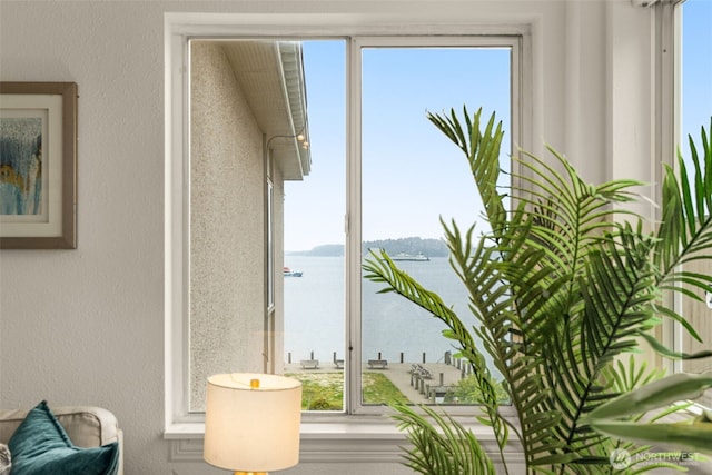 1156 Alki Ave SW Unit 401, Seattle, WA 98116 - doorway to outside featuring a water view and plenty of natural light