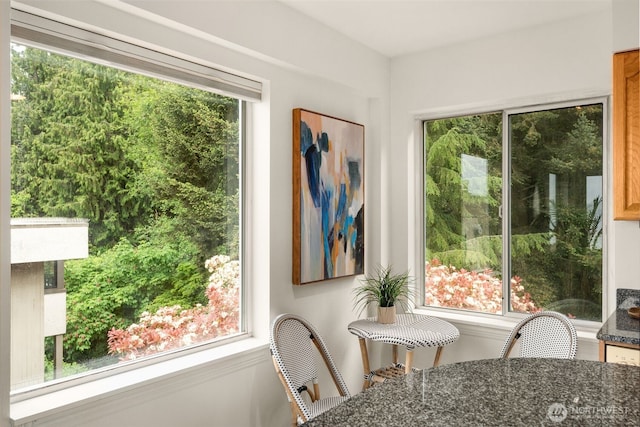 1156 Alki Ave SW Unit 401, Seattle, WA 98116 - dining room with plenty of natural light