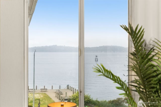 1156 Alki Ave SW Unit 401, Seattle, WA 98116 - water view