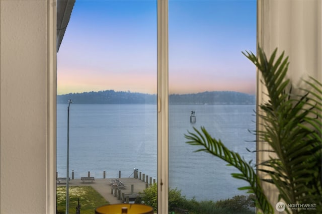 1156 Alki Ave SW Unit 401, Seattle, WA 98116 - water view