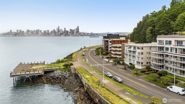 1156 Alki Ave SW Unit 401, Seattle, WA 98116 - water view with a view of skyline