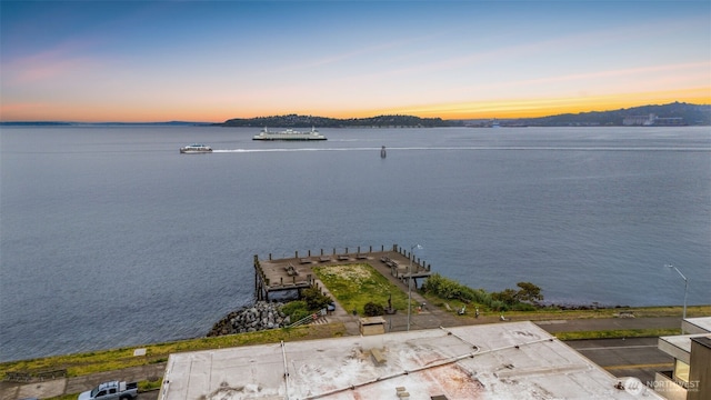 1156 Alki Ave SW Unit 401, Seattle, WA 98116 - water view