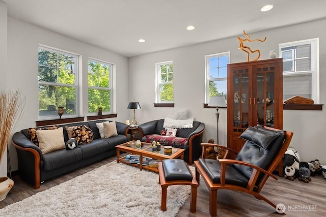 living room with recessed lighting and wood finished floors