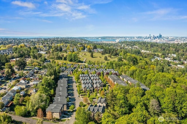 bird's eye view