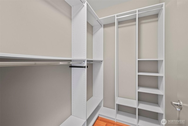 view of walk in closet