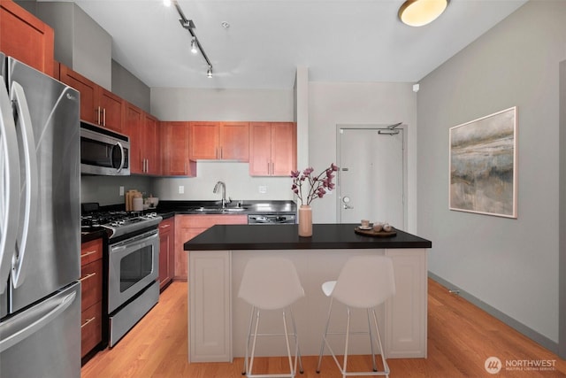 kitchen with appliances with stainless steel finishes, a sink, light wood-style floors, and dark countertops