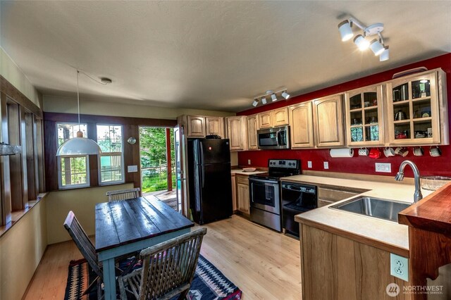 166 White Point Rd, Friday Harbor, WA 98250 - kitchen featuring black appliances, a sink, glass insert cabinets, light wood finished floors, and light countertops