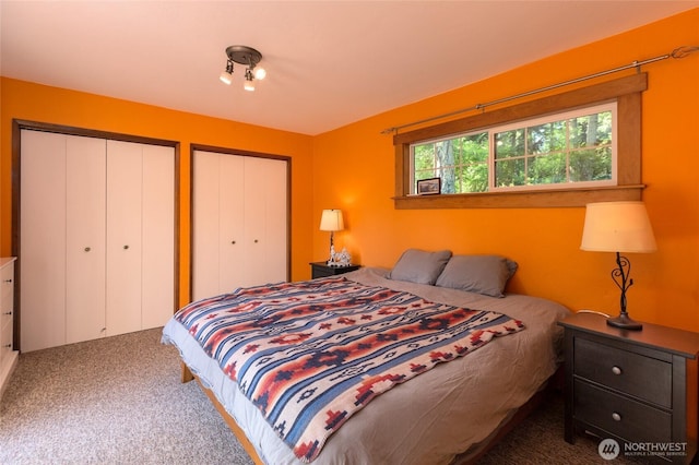 166 White Point Rd, Friday Harbor, WA 98250 - carpeted bedroom featuring two closets