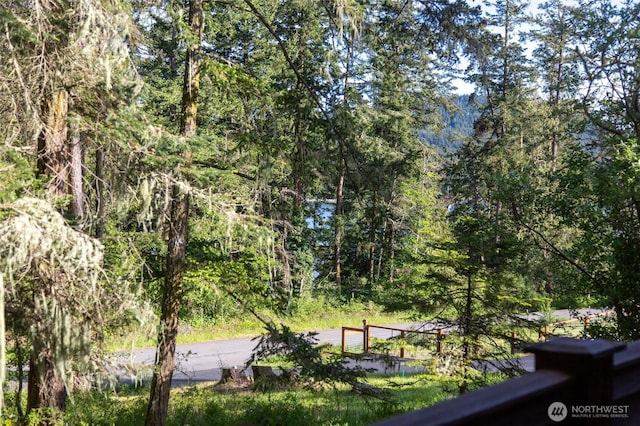 166 White Point Rd, Friday Harbor, WA 98250 - view of home's community with a view of trees