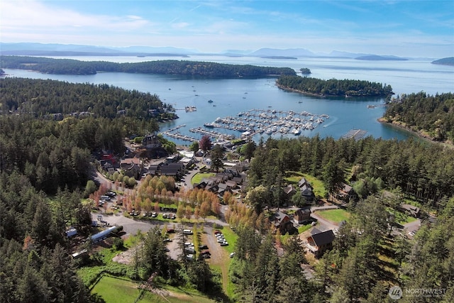 166 White Point Rd, Friday Harbor, WA 98250 - drone / aerial view of a water and mountain view and a heavily wooded area