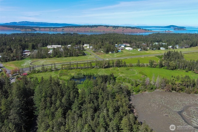 166 White Point Rd, Friday Harbor, WA 98250 - bird's eye view of a water and mountain view and a heavily wooded area