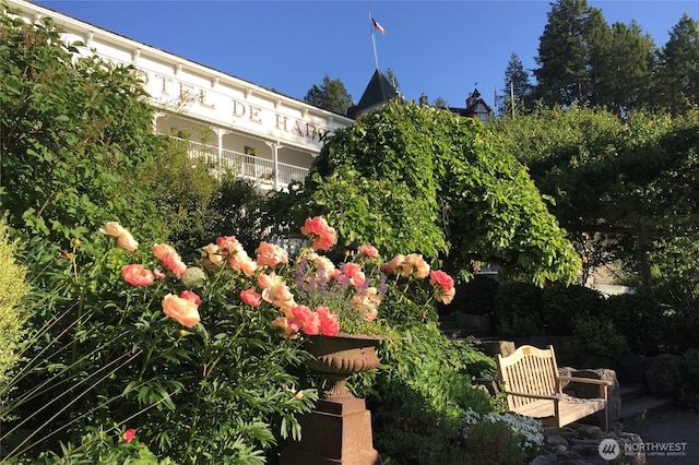 166 White Point Rd, Friday Harbor, WA 98250 - view of yard