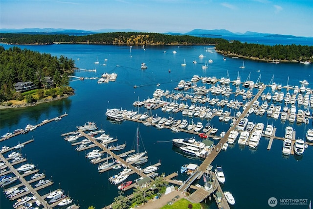 166 White Point Rd, Friday Harbor, WA 98250 - bird's eye view of numerous boat docks and a large body of water