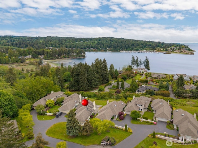 aerial view of residential area with a forest and a nearby body of water
